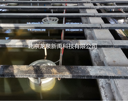 ����ɰ�V��